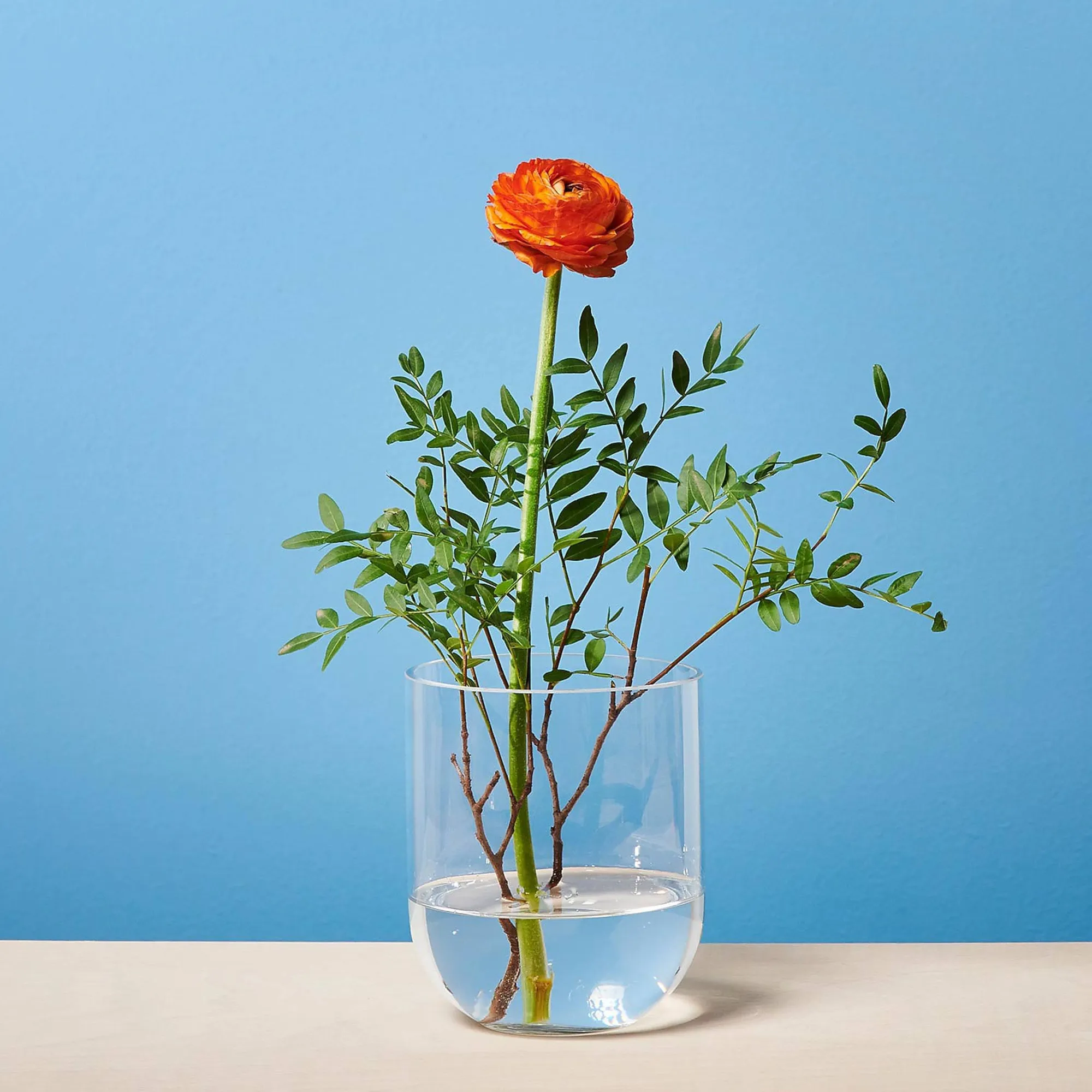 Sale Vase Bernadette Vases