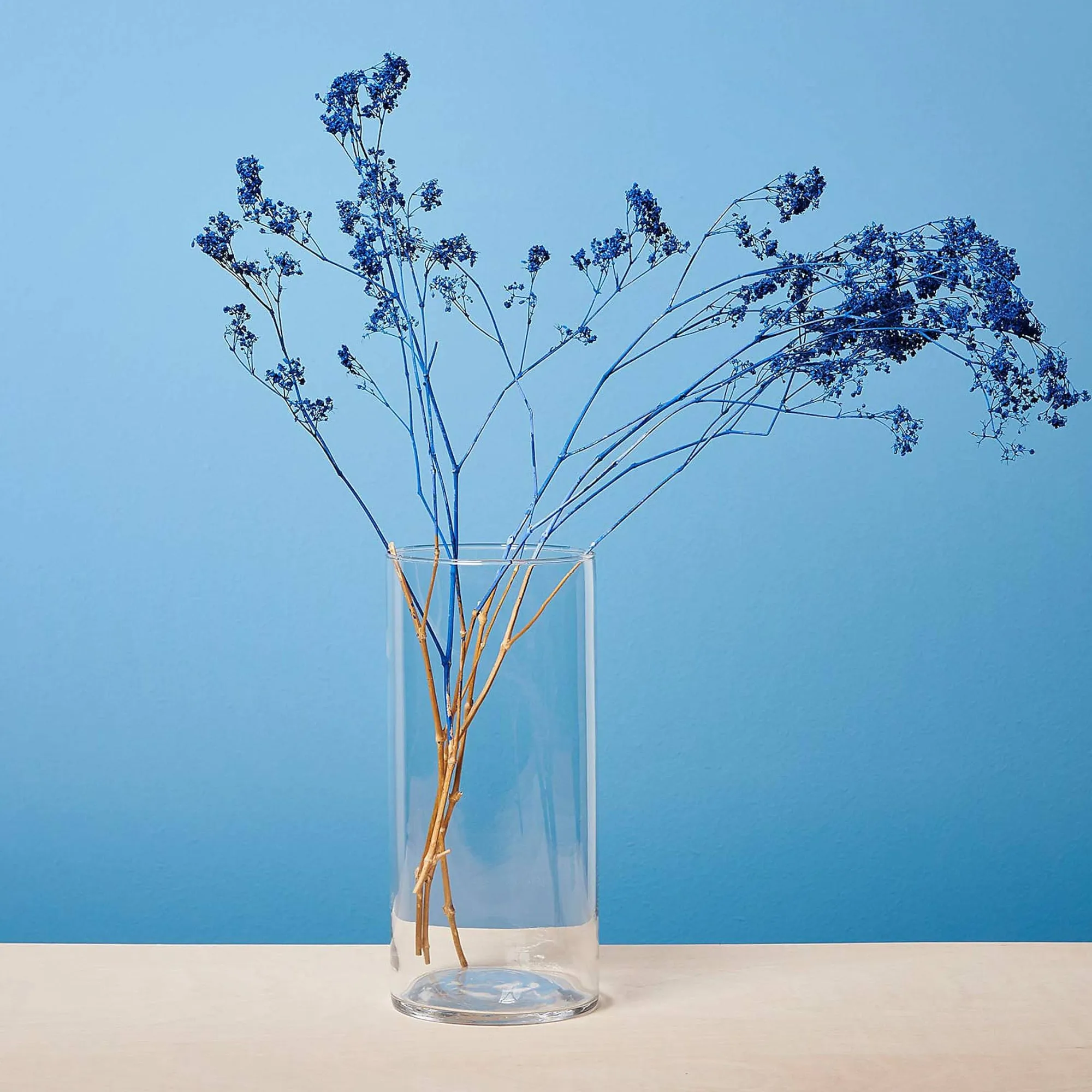 Outlet Vase Tao Vases