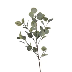 Store Zweig Eukalyptus Ca.73Cm Fleurs Individuelles