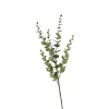 Online Zweig Eukalyptus Modern Ca.74Cm, Creme Fleurs Individuelles