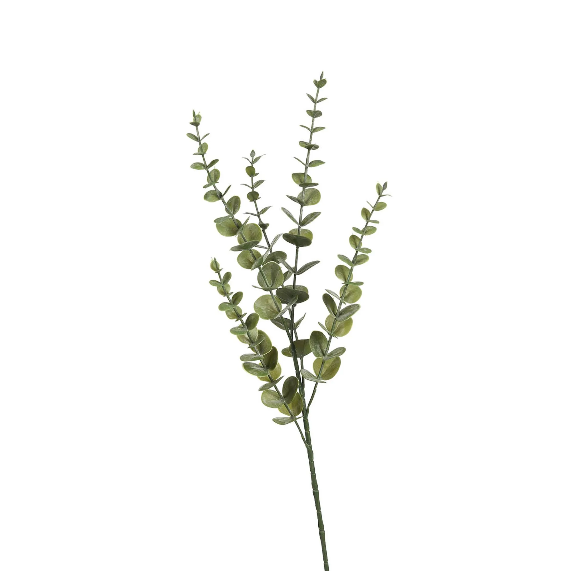 Online Zweig Eukalyptus Modern Ca.74Cm, Creme Fleurs Individuelles