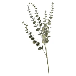 Online Zweig Eukalyptus Modern Ca.74Cm, Creme Fleurs Individuelles