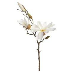 Outlet Zweig Magnolie Ca.48Cm Fleurs Individuelles