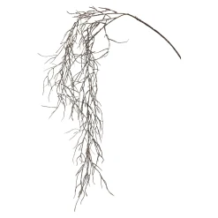 Discount Zweig Tillandsie Hangend Ca. 104Cm Fleurs Individuelles